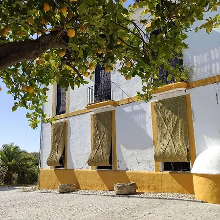 Rosas De Santa Ana