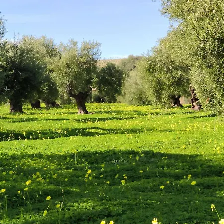 Rosas De Santa Ana Villamartín