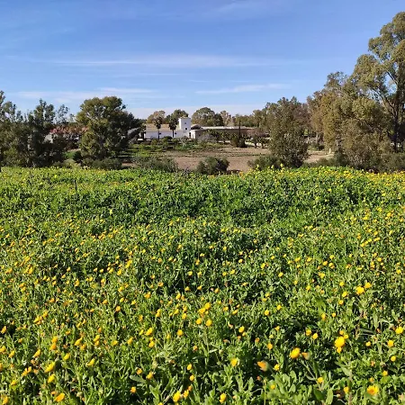 Rosas De Santa Ana Bed and breakfast *