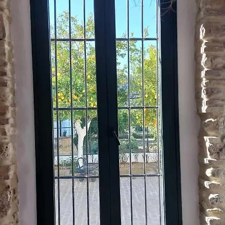 Rosas De Santa Ana