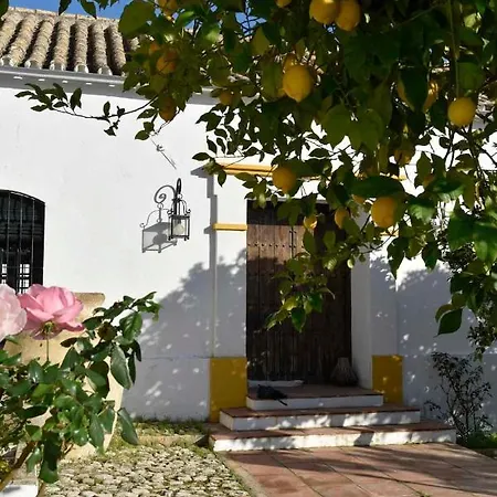 Rosas De Santa Ana Bed & Breakfast
